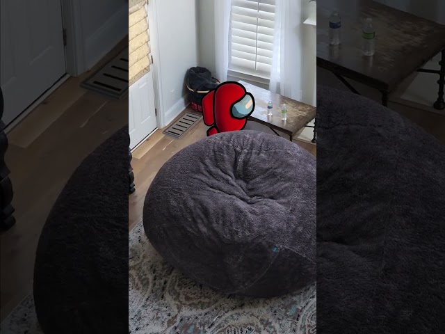 Among Us Impostor Caught in my House