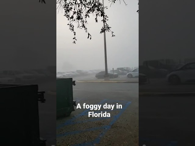 Some Thicc Fog