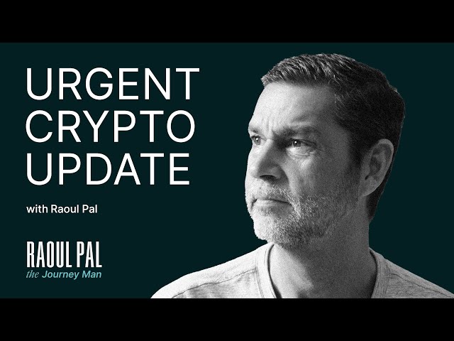 Don't Panic! Raoul Pal's URGENT Crypto Market Update