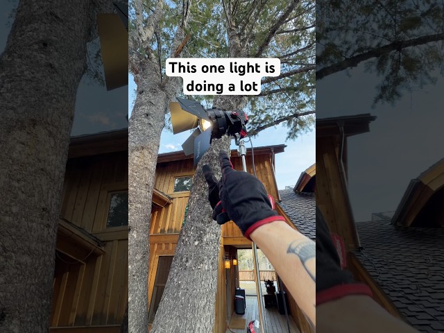 This one light is carrying a lotta weight