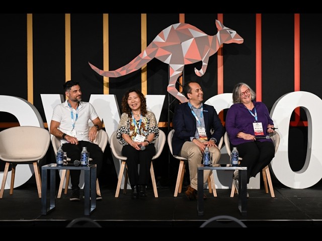 Bridging AI international policy practice: the AIDV approach