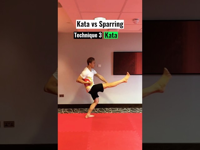 Comparing Kata vs. Sparring π₯