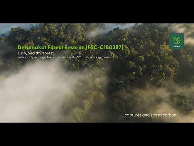 One of Malaysia's remarkable treasures: Deramakot forest, Sabah (FSC-certified)