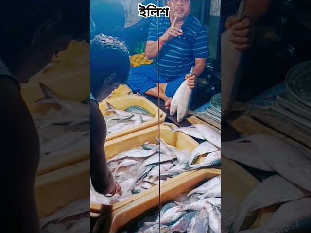 রান্না পূজার ইলিশ চিংড়ি মার্কেট #ilishbazar #ilish #shorts #ytshorts #ilishmaach #viralvideo #vlog
