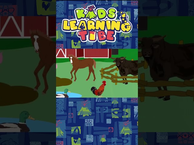 Animals on the Farm Song! | KLT