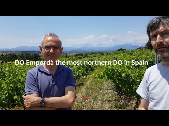 Vi Català - Catalan Wine Country - DO Empordà