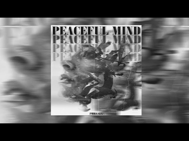 *FREE* PHRASES KIT "PEACEFUL MIND" (STRINGS, VOCALS, SYNTHS)