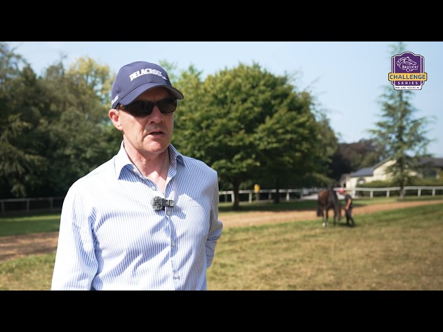 Aidan O'Brien - Minnie Hauk & Benvenuto Cellini