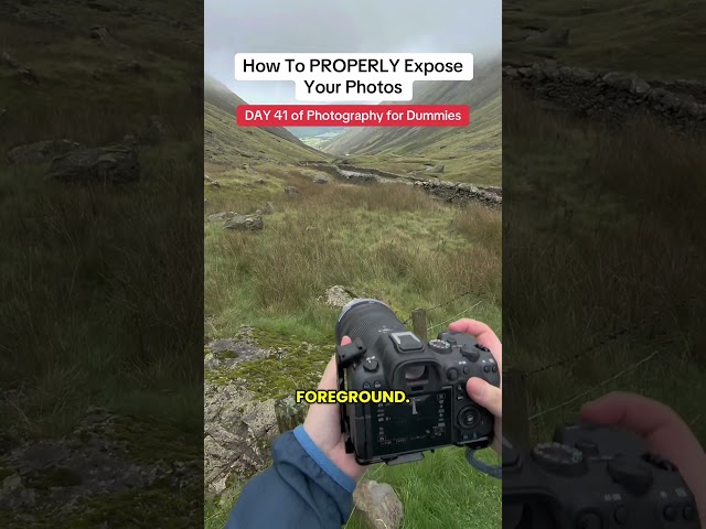 DAY 41 of Photography for Dummies
