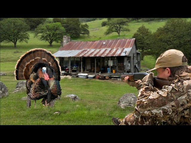 Rio Grande Turkey Hunting at the old Family Hunting Cabin | They Gobbled in our Face!