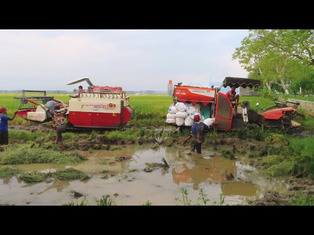KOMBI SAWAH KUBOTA DC93 STUCK RESCUE BY MAXXI BIMO
