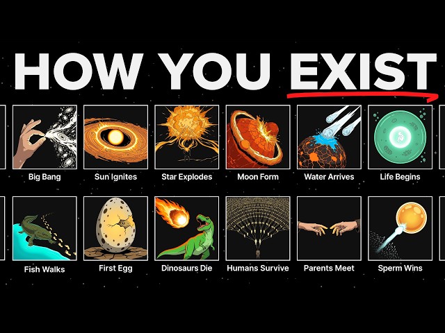 Everything That Had To Happen For You Explained to Fall Asleep to