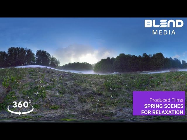 Spring Scenes for Relaxation & Meditation
