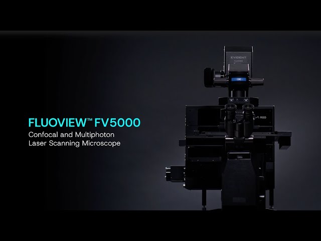 FLUOVIEW™ FV5000 Confocal and Multiphoton Laser Scanning Microscope