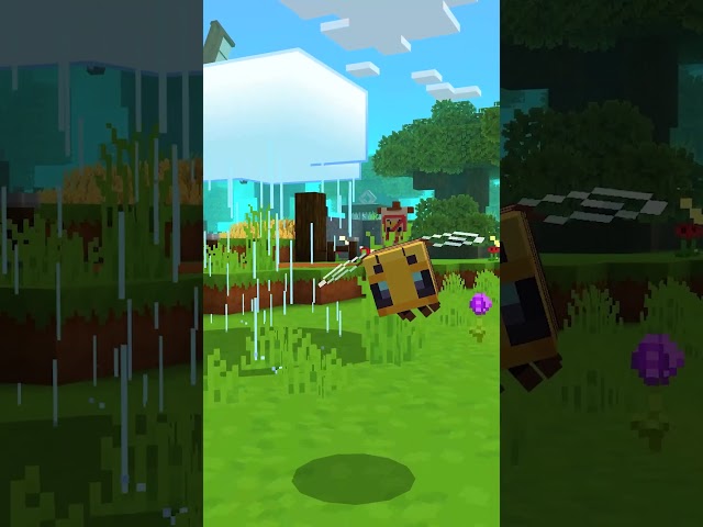 Bee-come the bee and feel the buzz! 🐝