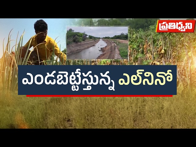 నాట్లు వేసిన రైతులకు కష్టాలే.. ఎండుతున్న పంటలు.. వట్టిపోతున్న బోర్లు || Pratidhwani