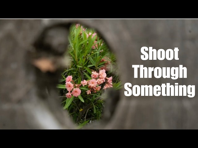 I Took 350 Photos for This One Challenge – Here's What Stuck
