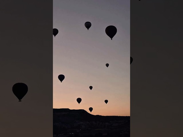Take the risk🤍TRACK🎶 blaank, JEANS - Echo #chillyourmind #music #deephouse #housemusic #chill