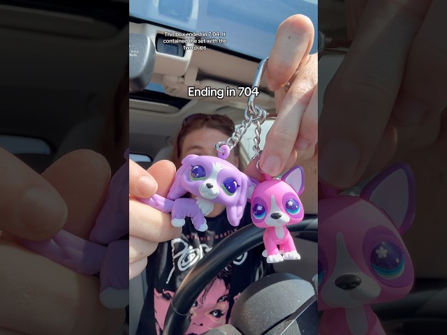 Littlest Pet Shop code trick for the DIY bag charms  #lps #littlestpetshop #lpscollection #blindbox