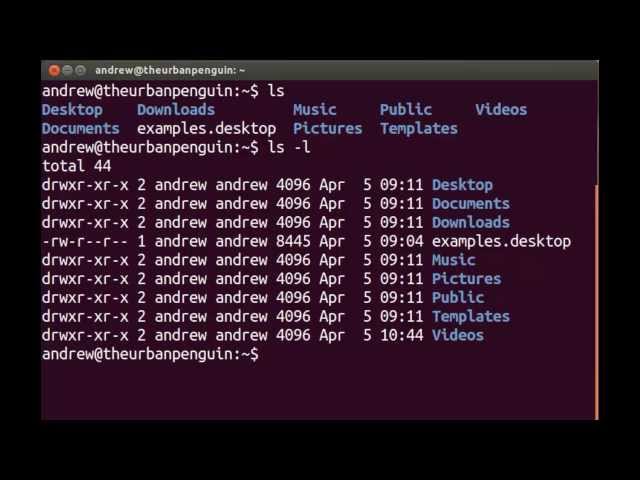 Linux Essentials L2.3 Using Directories and Listing Files
