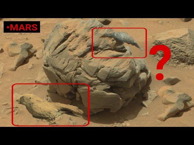 Nasa's Mars Perseverance Rover Sent Most Fascinating Footage Of Mars! Mars Rover Curiosity