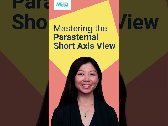 Mastering the Parasternal Short Axis View #Shorts #echocardiography #pediatrics