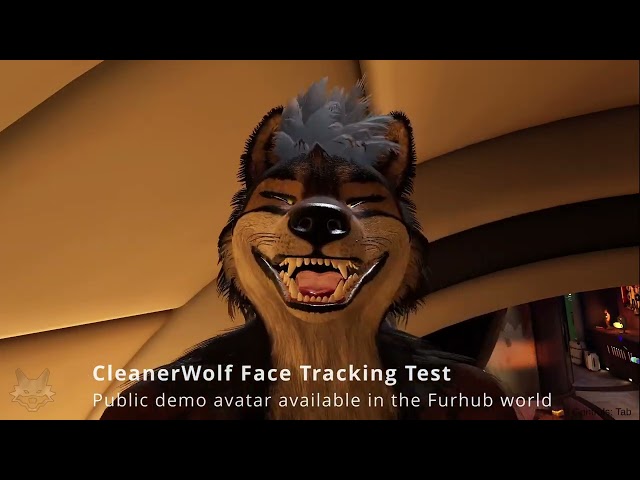 CleanerWolf Avatar Face Tracking Test