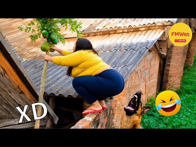 Funny Videos 🤣 If You Laugh You Lose GOD LEVEL #820 😎Mexican Viral Humor🤣