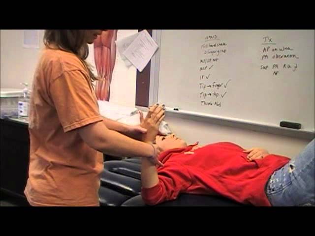 Passive Physiological Movements of the Wrist Joint