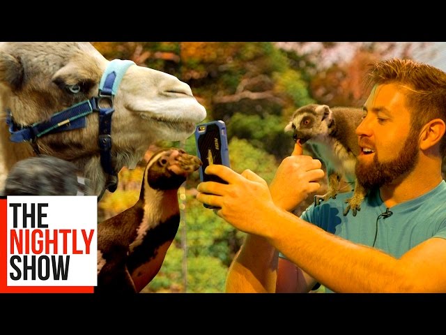 Behind the Scenes at The Nightly Show with Forrest Galante & Some Penguins, Lemurs & a Camel