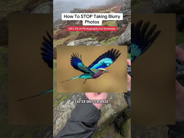 DAY 20 of Photography for Dummies