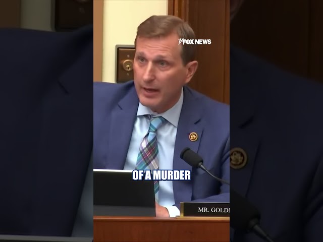 Sheriff BLASTS 'degenerate' Dem at hearing #foxnews #news #shorts #police
