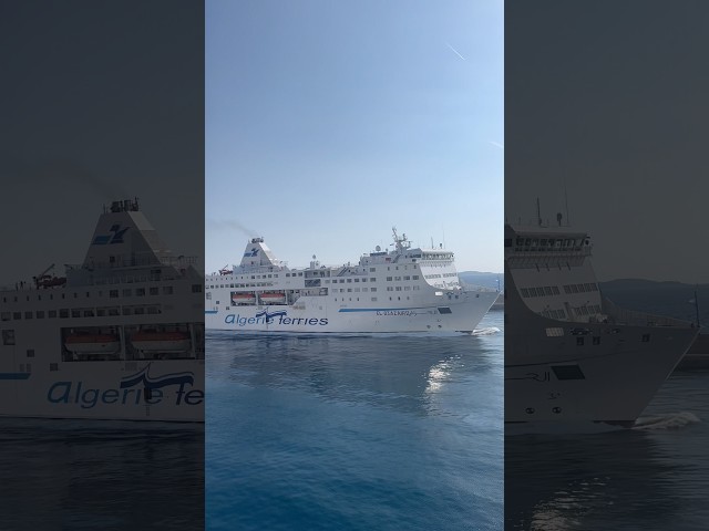 Ferry Ship Fog Horn || Ship Horn #shiphorn