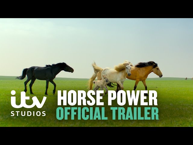 Horse Power | Official Trailer