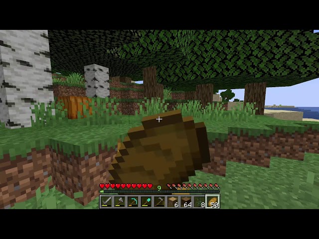 Chess and Minecraft