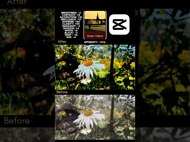 Green Yellow Color Grading 🌼 | CapCut Tutorial | Cinematic Nature Look