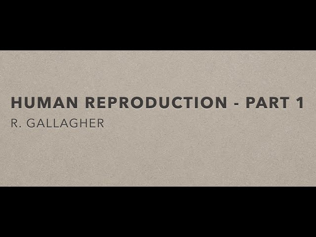 Human Reproduction part 1