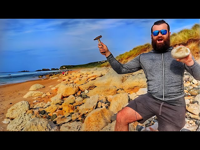 Fossil Hunting | Types of Fossils (Real Dinosaurs!)