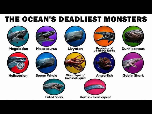 The Most Terrifying Sea Creatures to Ever Exist