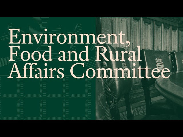 Government ministers quizzed on climate adaptation - Environment, Food and Rural Affairs Committee