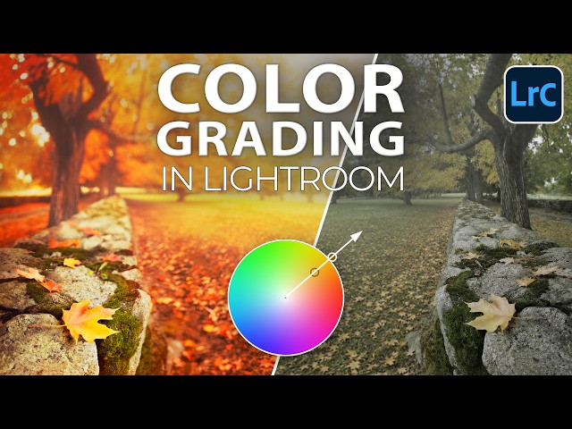 Complete Guide to Color Grading in Lightroom