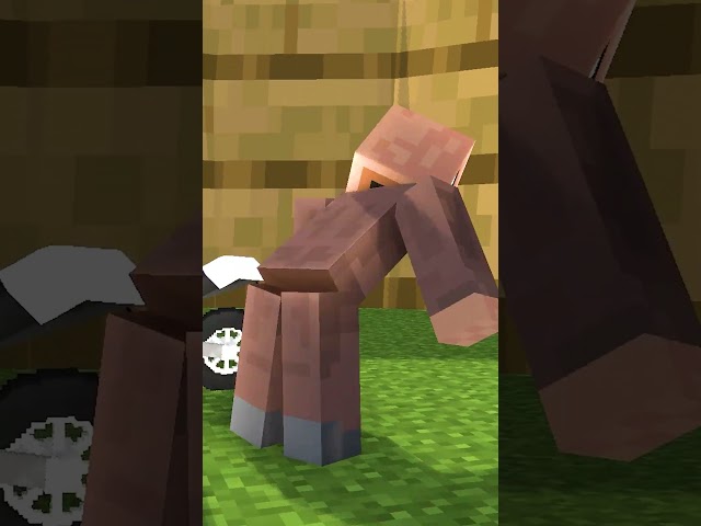 I Broke Villager.. #minecraftshorts #minecraft