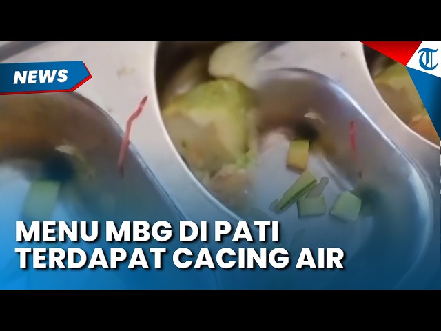VIRAL: Water Worm Found in MBG School Lunch in Pati, Task Force Chair Speaks Out