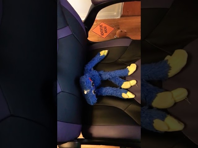 8 things that plushies defy