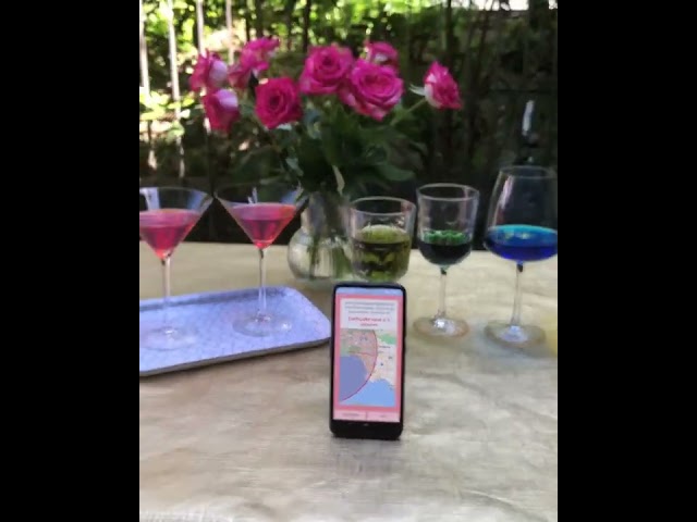 Earthquake Network app - Real time earthquake alerts