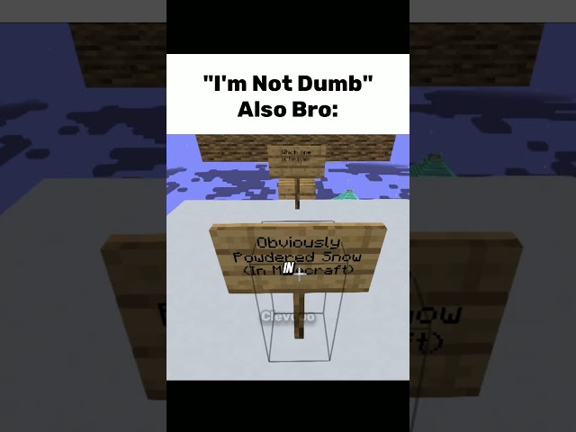 "I'm Not Dumb Bro"