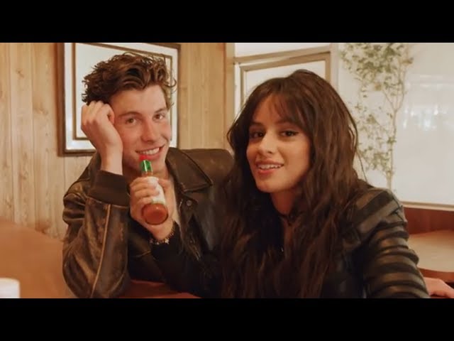 Shawn Mendes Responds To Camila Cabello Dating Rumors