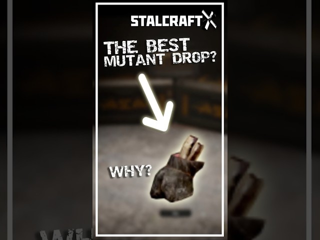 Why boars are the BEST mobs to kill for crafting and money 💸 in Stalcraft X | Gameplay #stalcraft