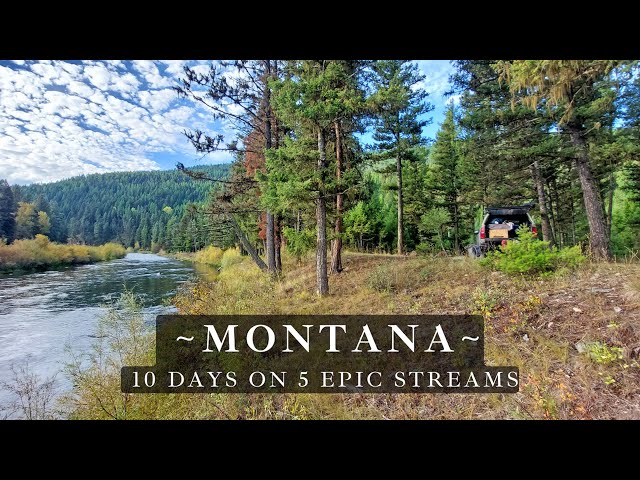 Fly Fishing Montana - 10 days of truck camping - 5 epic streams