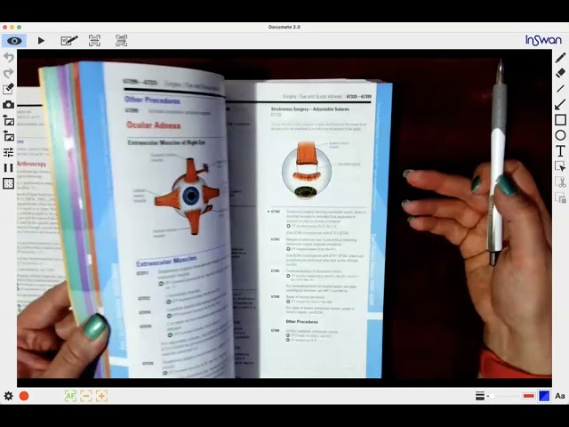 Using the CPT Codebook